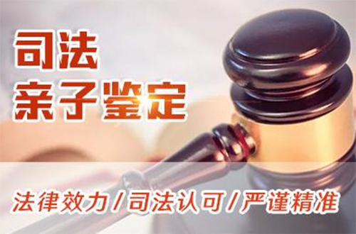 武汉司法DNA亲子鉴定收费标准,